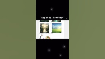 Đáp án đề thi Trạng nguyên Tiếng Việt lớp 4 vòng 4 năm 2025-2026