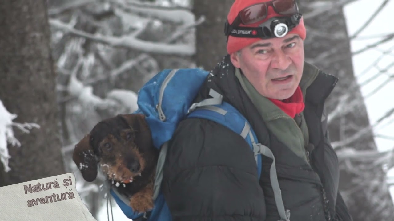 Natura si aventura: observatie cocosi de munte in Ceahlau