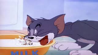 Tom and jerry telugu cartoons official episode 1 || new