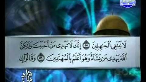 شيخ توفيق الصائغ سوره القصص
