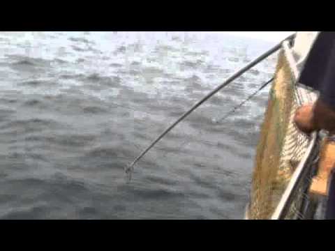 浜さんあれ？