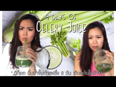 ดื่มน้ำขึ้นฉ่ายฝรั่งทุกเช้า 9 วัน เกิดอะไรขึ้นบ้าง ??! Celery Juice Cleanse น้ำเซเลอรี่