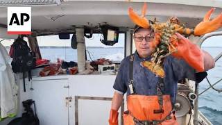 Information Some fishermen are turning on Trump amid fuel costs and trade war Update