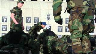 CS-35 training and recognition 2007