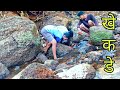 खेकड्यांचा बिळात हात घालून खेकडे पकडण्याची डेंजर पद्दत | traditional crab catching  #tejagurav