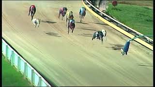 GEL TUE 22 AUG 17 R11