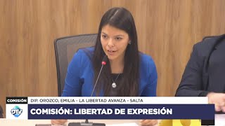 COMISIÓN COMPLETA: LIBERTAD DE EXPRESIÓN  25 de abril de 2024  Diputados Argentina