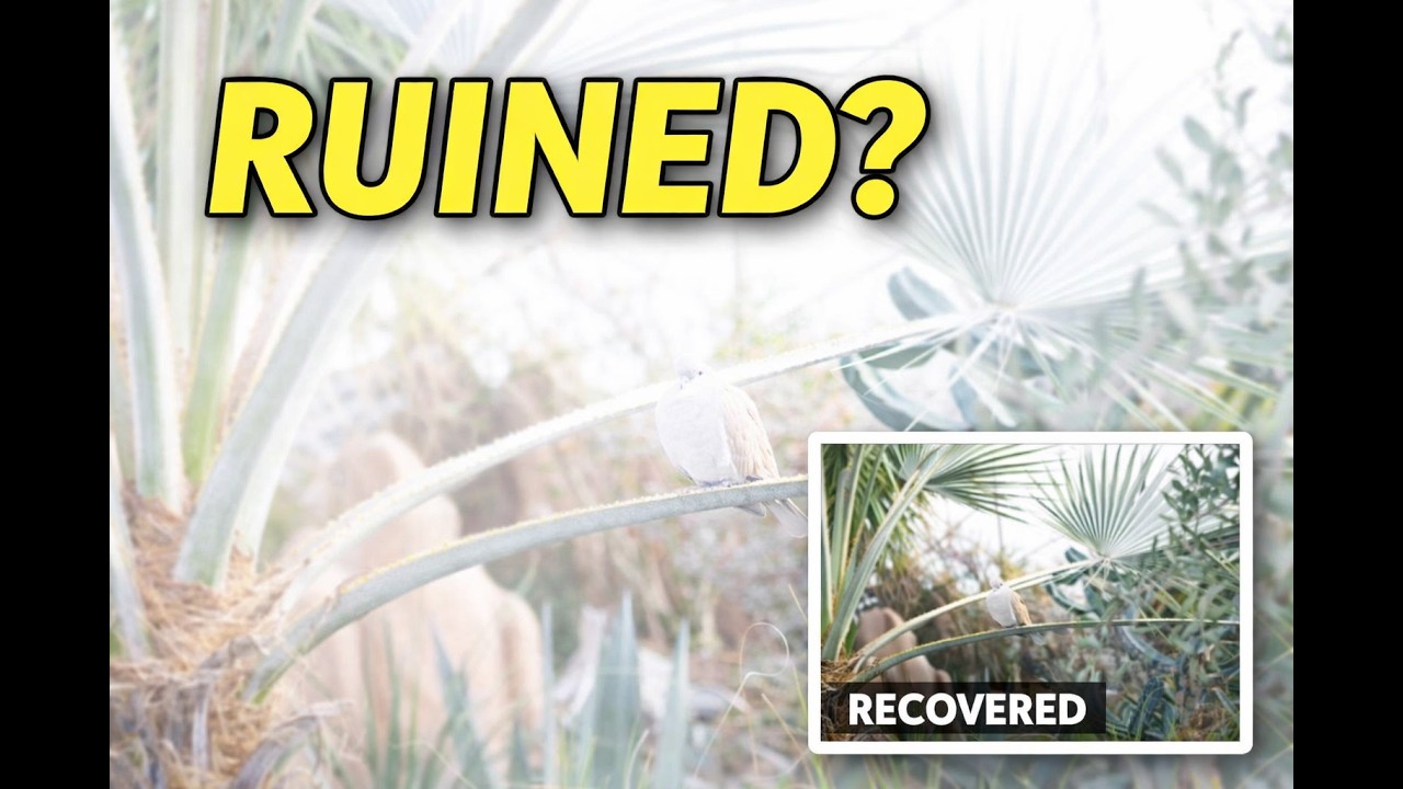 I Thought This Shot Was Ruined… Here’s What Actually Happened