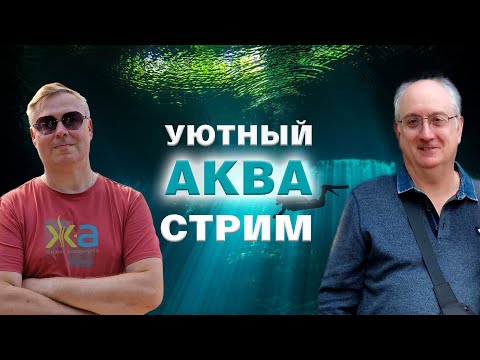 Видео: Уютный стрим по аквариумистике с Александром Ершовым
