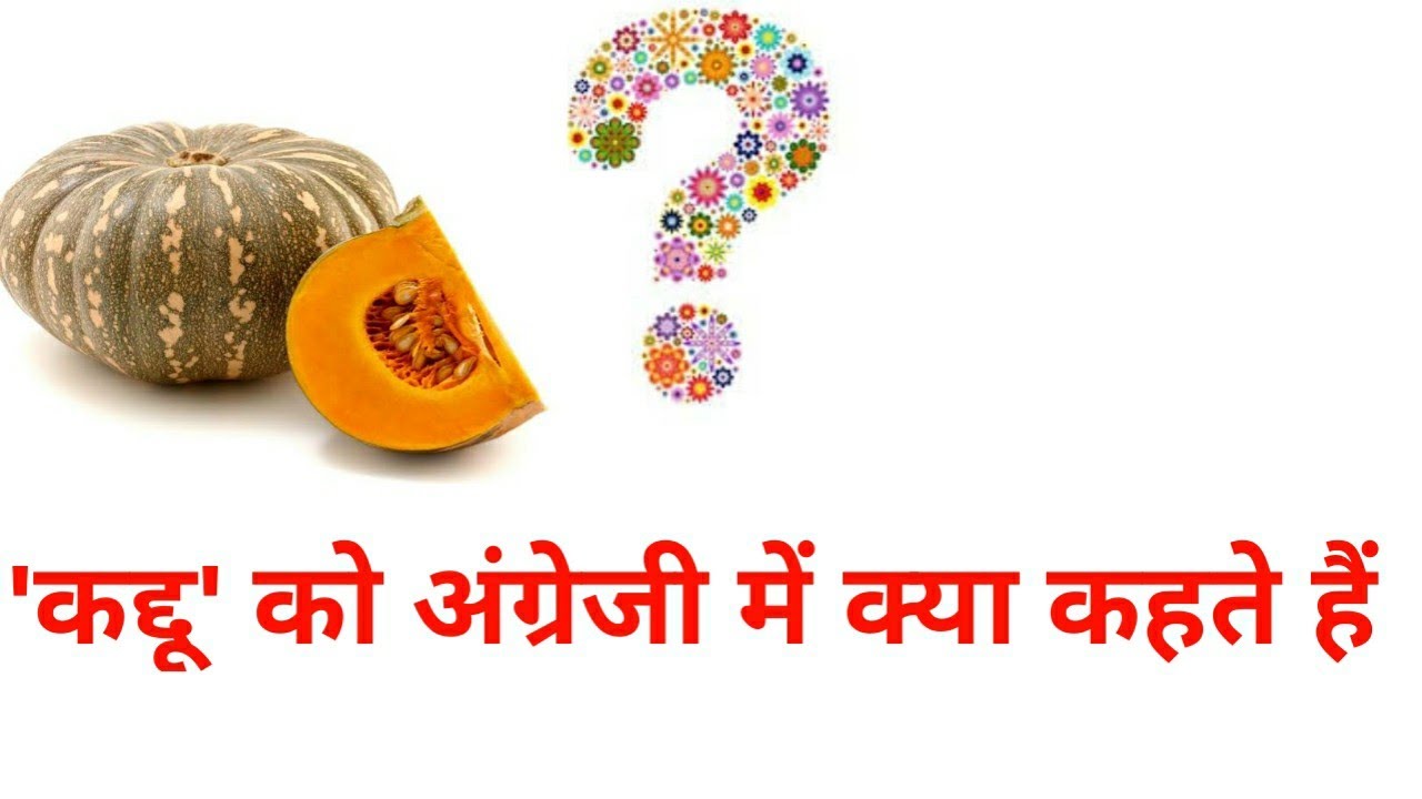 कद्दू को इंग्लिश में क्या कहते हैं kaddu ka english meaning kaddu