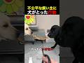 不公平な飼い主に、犬がとった行動