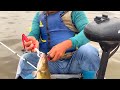 pesca con el jarocho está en vivo