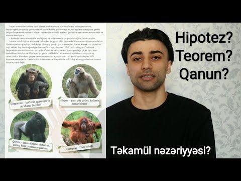 Video: Elmi nəzəriyyə və qanun nədir?