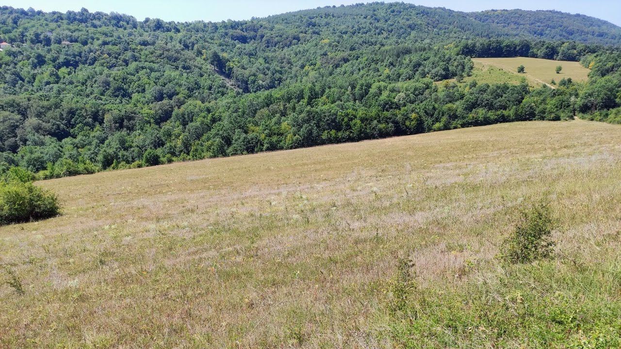 Ancient Mulberry Orchard Buldozed for Nothing YouTube