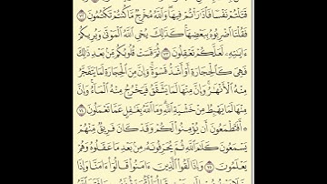 الورد اليومي قراءة القرآن الكريم الصفحة 11 سورة البقرة
