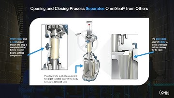 What makes OmniSeal Plug Valve better than others..?