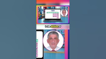 Unlock the Secrets of Effective Project Management with WBS!