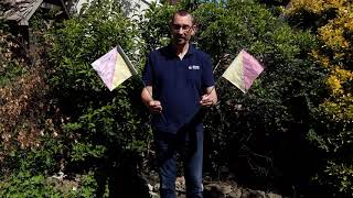 Learn from Home: Send a message with semaphore flags