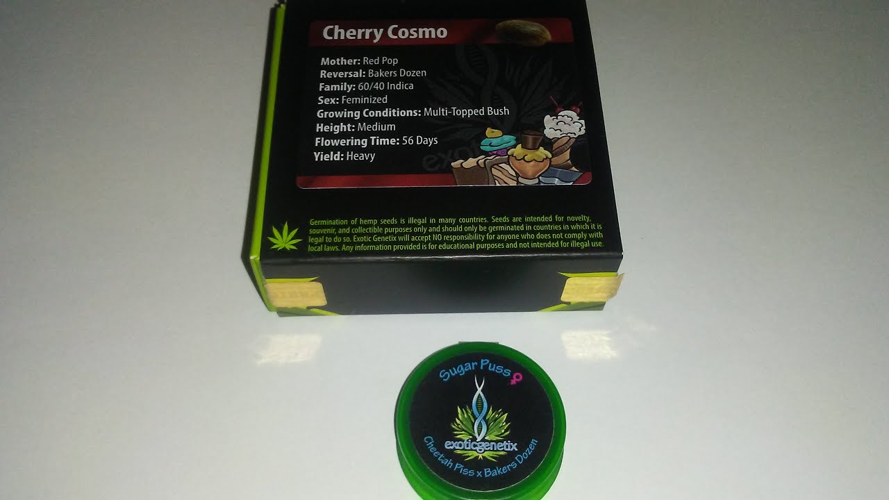 The Bean Hunter Ep5 Exotic Bakers Dozen Drop! Cherry Cosmo