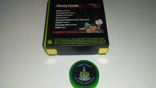 The Bean Hunter - Ep5  Exotic Genetix Bakers Dozen Drop!  Cherry Cosmo &  Sugar Puss :)