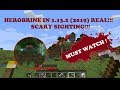 MINECRAFT HEROBRINE SIGHTING 1.13.2 ( 2019 ) RAW FOOTAGE (Documentary #1)