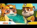 PAW Patrol & Cat Pack Rescue! w/ Rubble & Wild | Nick Jr.