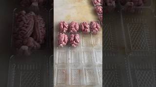 Famous How Pig Brain Is Extracted in a Slaughterhouse – Educational Insight into Meat Processing💥 Profile