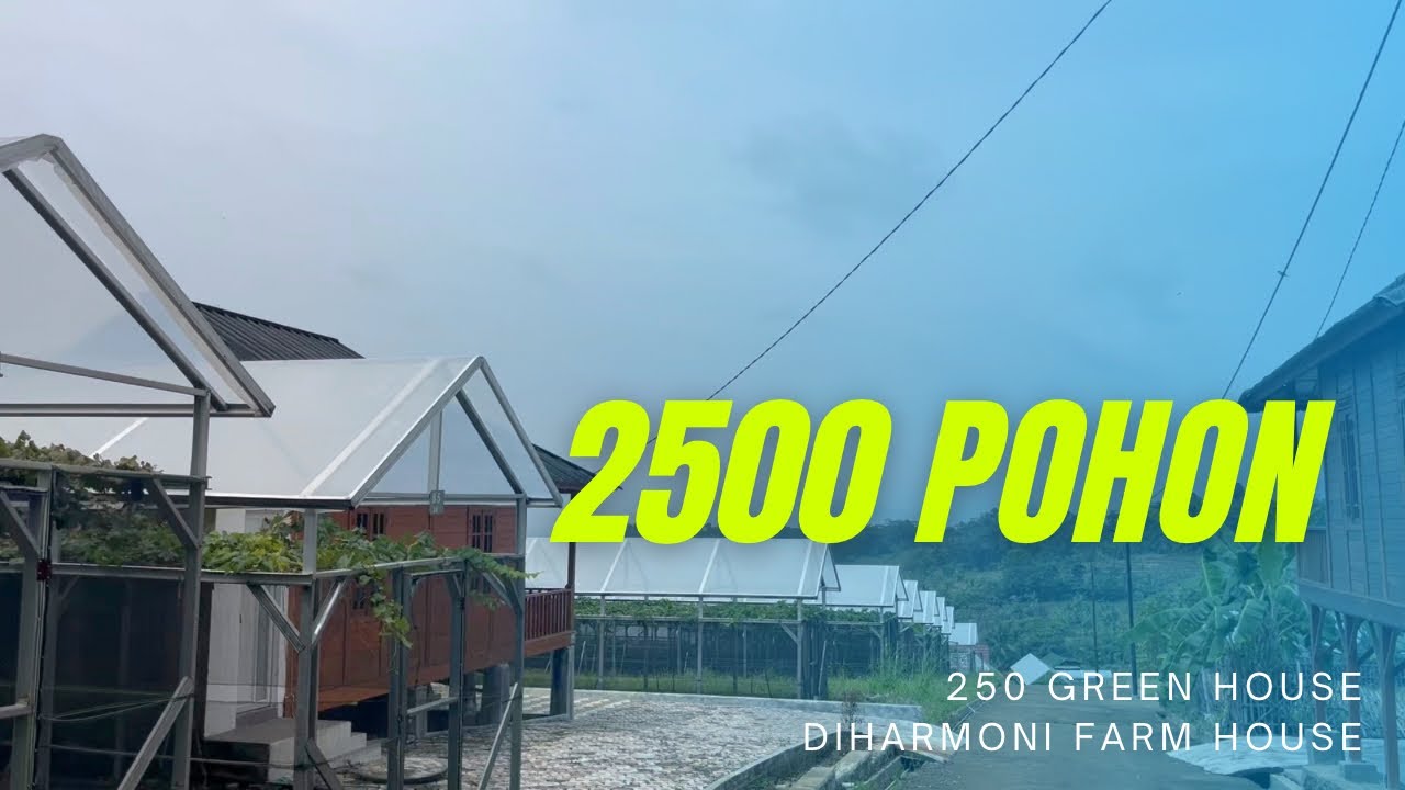 KEBUN ANGGUR TERLUAS DENGAN GREEN HOUSE TERBANYAK SE INDONESIA YANG PERNAH SAYA KUNJUNGI !!!!