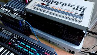 CZ-1000 organ techno house ditty 5/7/2023