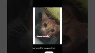 Download Lagu Jangan sedih lagi yaw~ MP3 Download Lagu Jangan sedih lagi yaw~ MP3