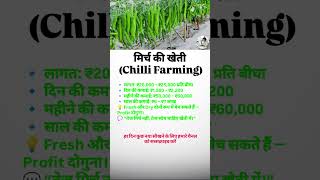 मिर्च की खेती (Chilli Farming) ? #startup #businesskaisekarein #smallbusiness #businessadvice