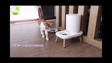 Duit | the table 餐桌型竉物餵食機