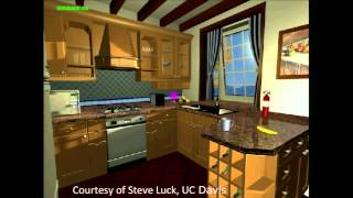 Creative empathy -- What children on the Autism can teach us | Clifford D. Saron | TEDxBayArea