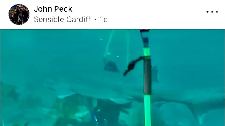 Shark! (Funny post from NextDoor that could have b...