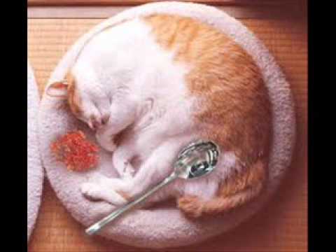 くるり カレーの歌 再カヴァー By Yzy Wmv Youtube くるり カレーの歌 再カヴァー By Yzy Wmv Youtube