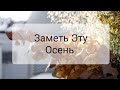 Уютная осень. Маленькие радости для уюта, тепла и комфорта. ЗАМЕТЬ ЭТУ ОСЕНЬ