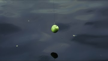 plus44Kaligula - Hold Tight (OFFICIAL VIDEO)