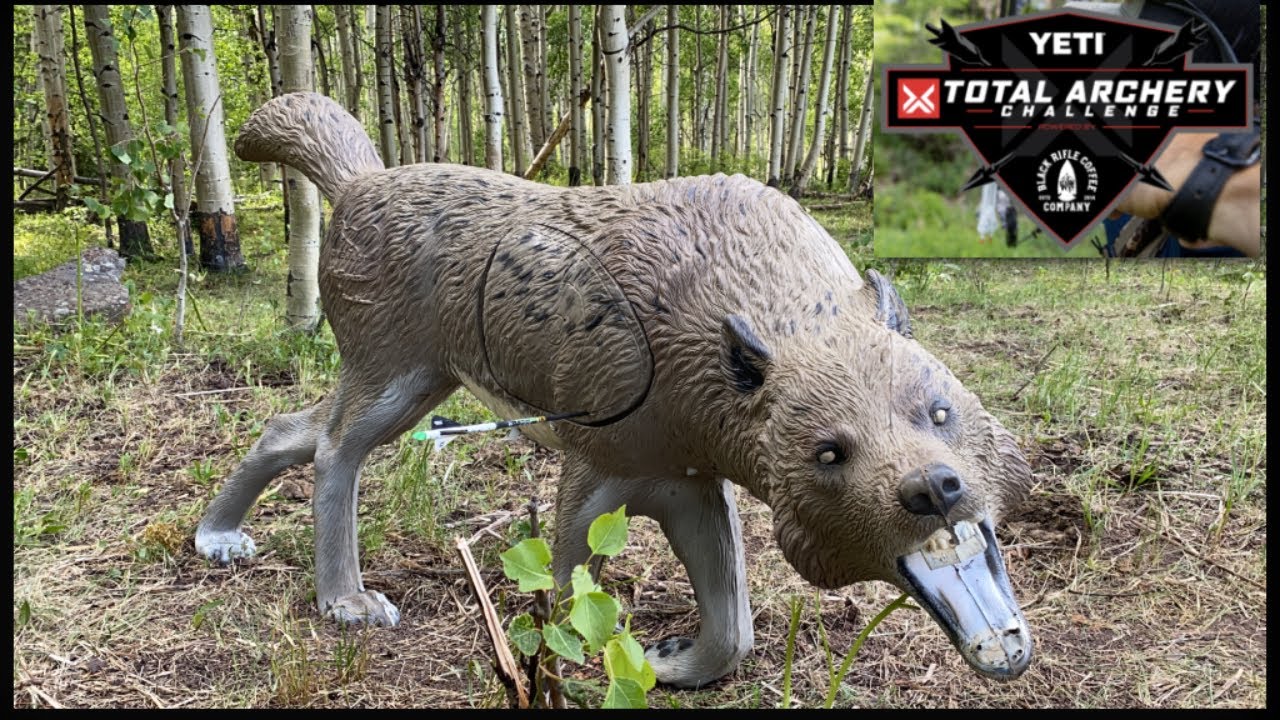Total Archery Challenge Glenwood Springs, CO YouTube