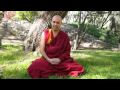 (1/2) Guía básica de meditación con el Ven. Lobsang Tonden