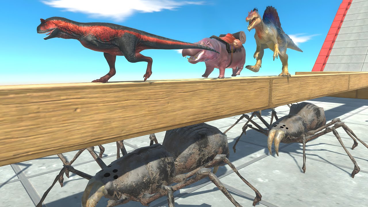 Watch Your Step – One Slip and You're Spider Food - ARBS Channel