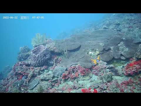 水下光雕水下美麗的光雕