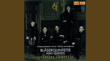 Serenade No. 12 in C Minor, K. 388 (arr. M. Rechtman) : III. Menuetto in canone