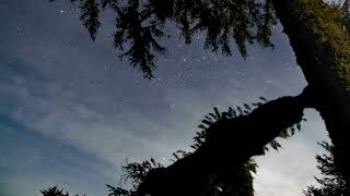 🌌🔭 Celestial Symphony: Star Gazing on a Clear Starry Night - 4K Night Sky Adventure 🌠🎥