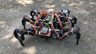 ESP32 Hexapod