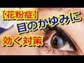 【花粉症】つらい目のかゆみに効く対策。すぐに役立つ花粉症対策！