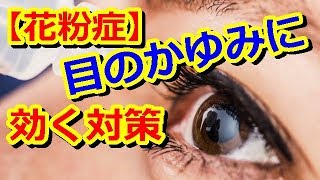 【花粉症】つらい目のかゆみに効く対策。すぐに役立つ花粉症対策!