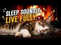 11 Hours Calming Cat Purring ASMR | Warm Fireplace Sounds for Deep Sleep