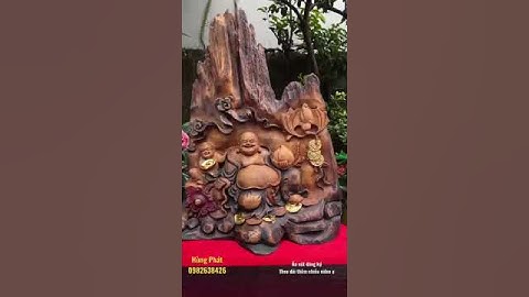 Cụ di lặc gỗ bách xanh mộc châu thơm ngát