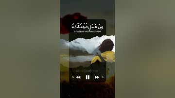 القارئ مشاري فالح