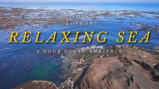 Salish Sea | relaxing ocean sounds | ambience for study, sleep, anti-anxiety | pacific ocean
